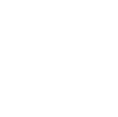 Boson